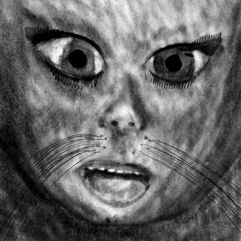 Quit Catting Around