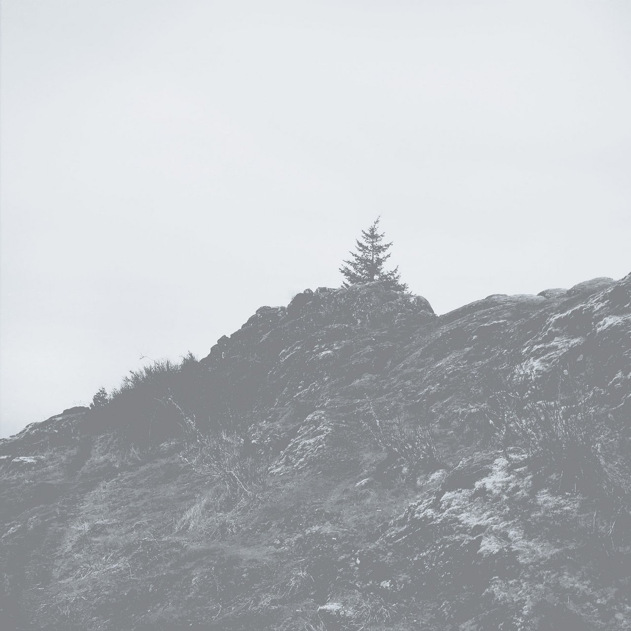 Spencer Butte, Eugene, Oregon